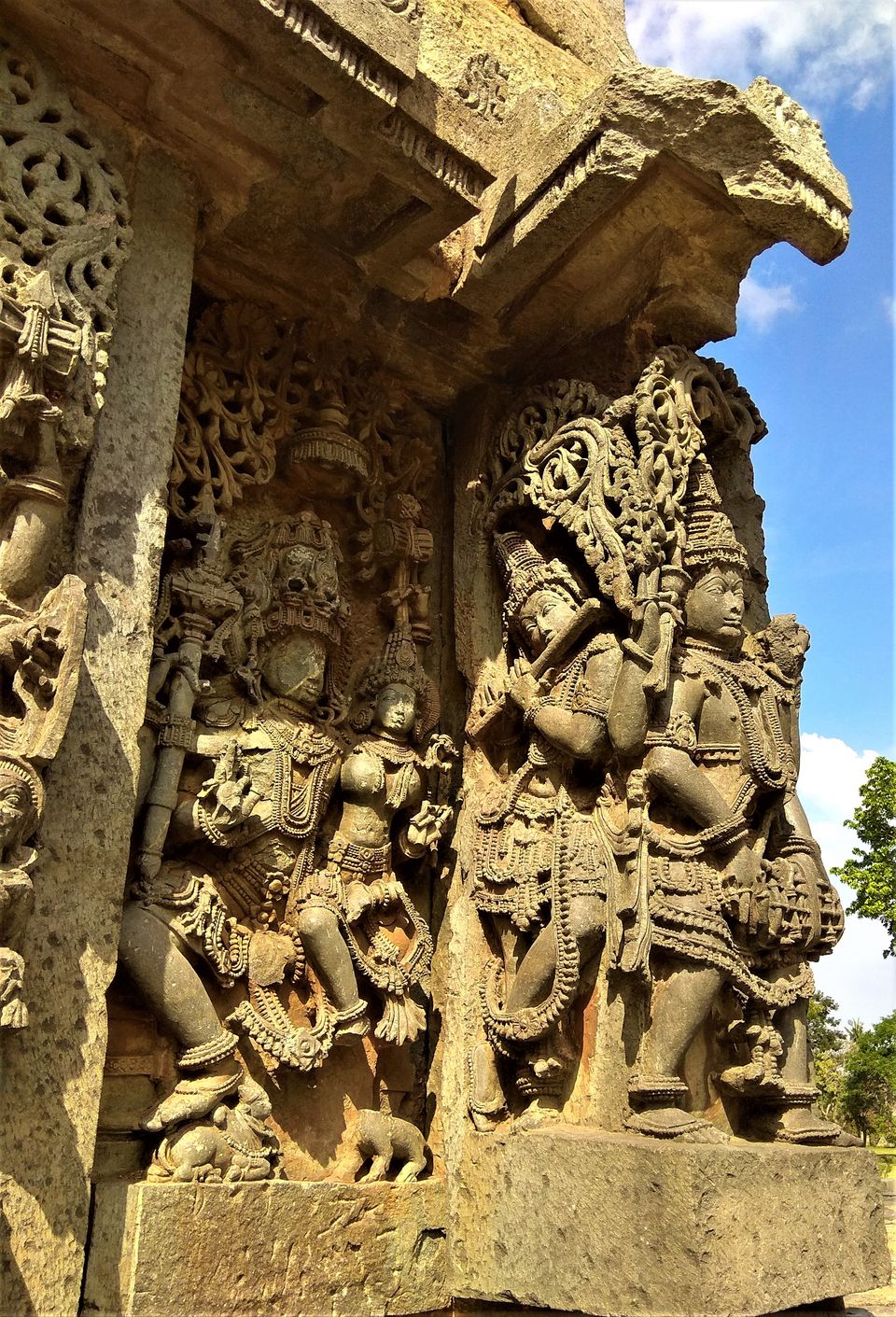 Photo of Zostel Chikmagalur 6/11 by ANIKET KUNDU
