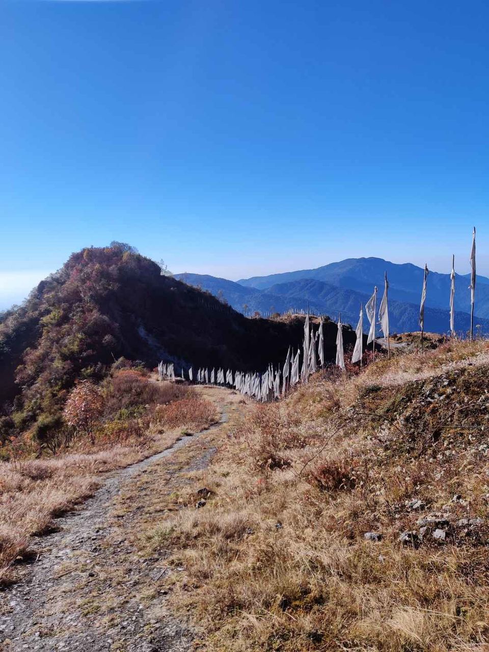 Photo of Sikkim, you beauty !!! by Khushboo Shukla