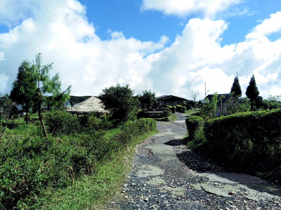 Photo of Guwahati, Assam, India by travellogy for u