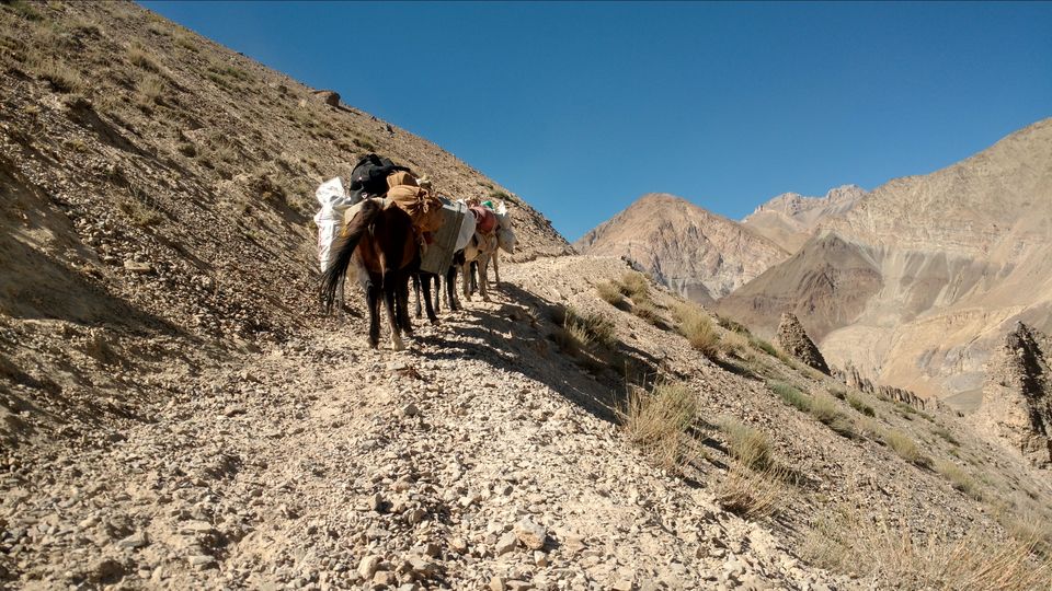 Photo of Zanskar trek by Jesse Tamchos