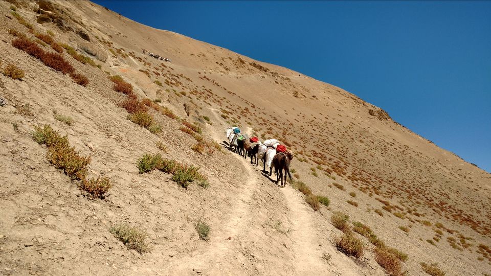 Photo of Zanskar trek by Jesse Tamchos