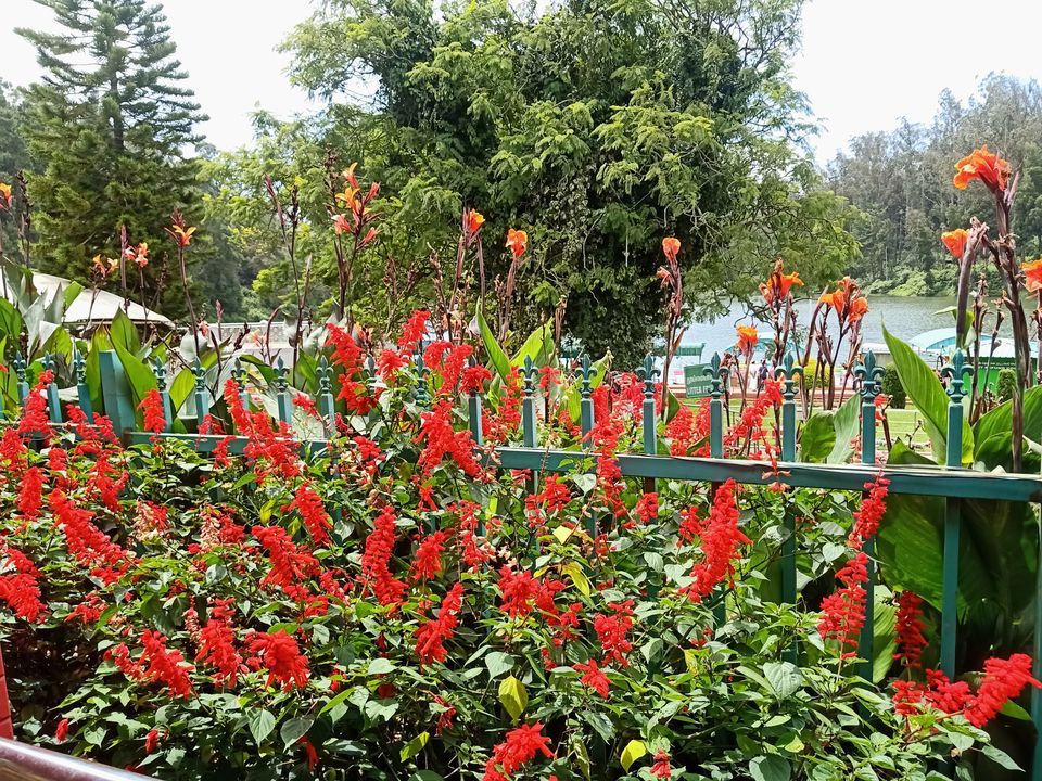 Photo of Charming Coonoor - where grey-blue mists kiss the gorgeous greens by imru chak