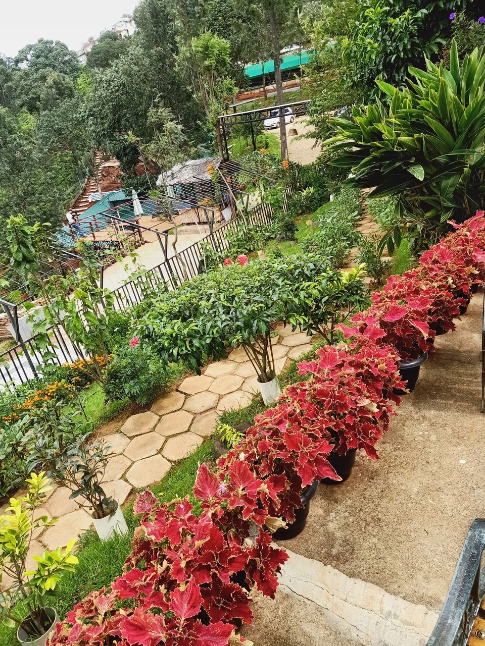 Photo of Charming Coonoor - where grey-blue mists kiss the gorgeous greens by imru chak