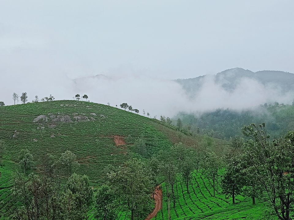 Photo of Charming Coonoor - where grey-blue mists kiss the gorgeous greens by imru chak