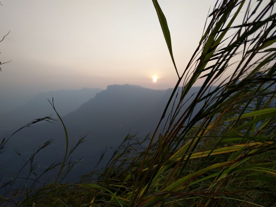 Photo of Tangled Treasure Of Ahupe by Neeraj Shinde