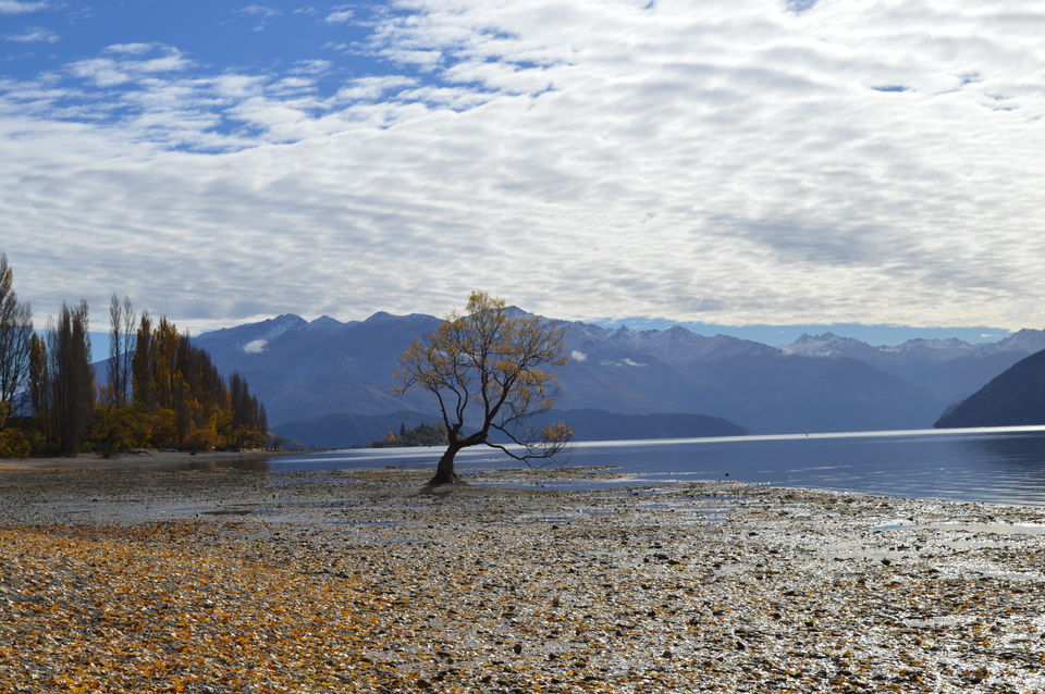 Photo of Solo Backpacing in New Zealand by Mithila Holla