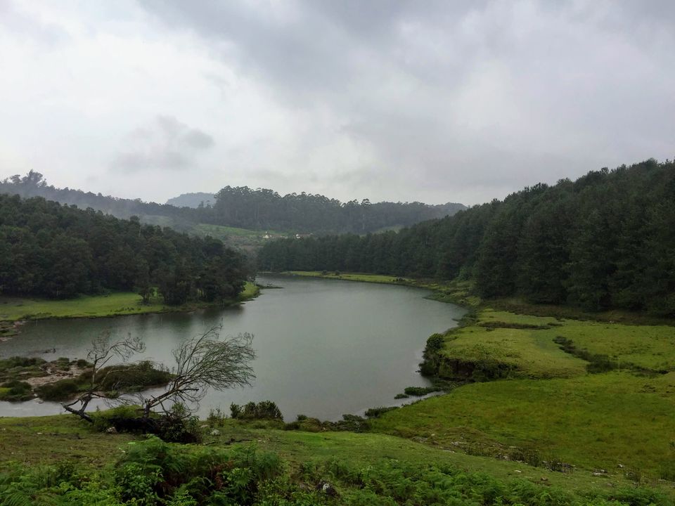 Photo of Monsoon magic at Pykara and Kotagiri by Mithila Holla