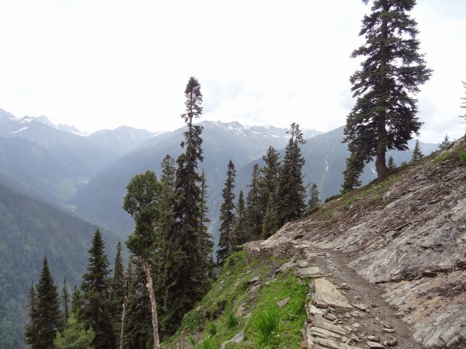 Photo of Kashmir Great Lakes Trek: A Himalayan Expedition 51/68 by Mithila Holla