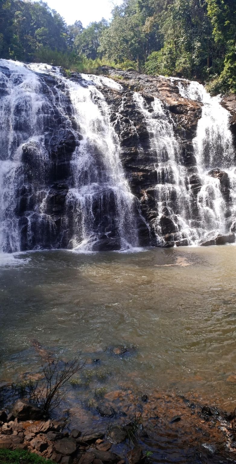 Photo of Coorg, Karnataka, India by Niyati Ranawat