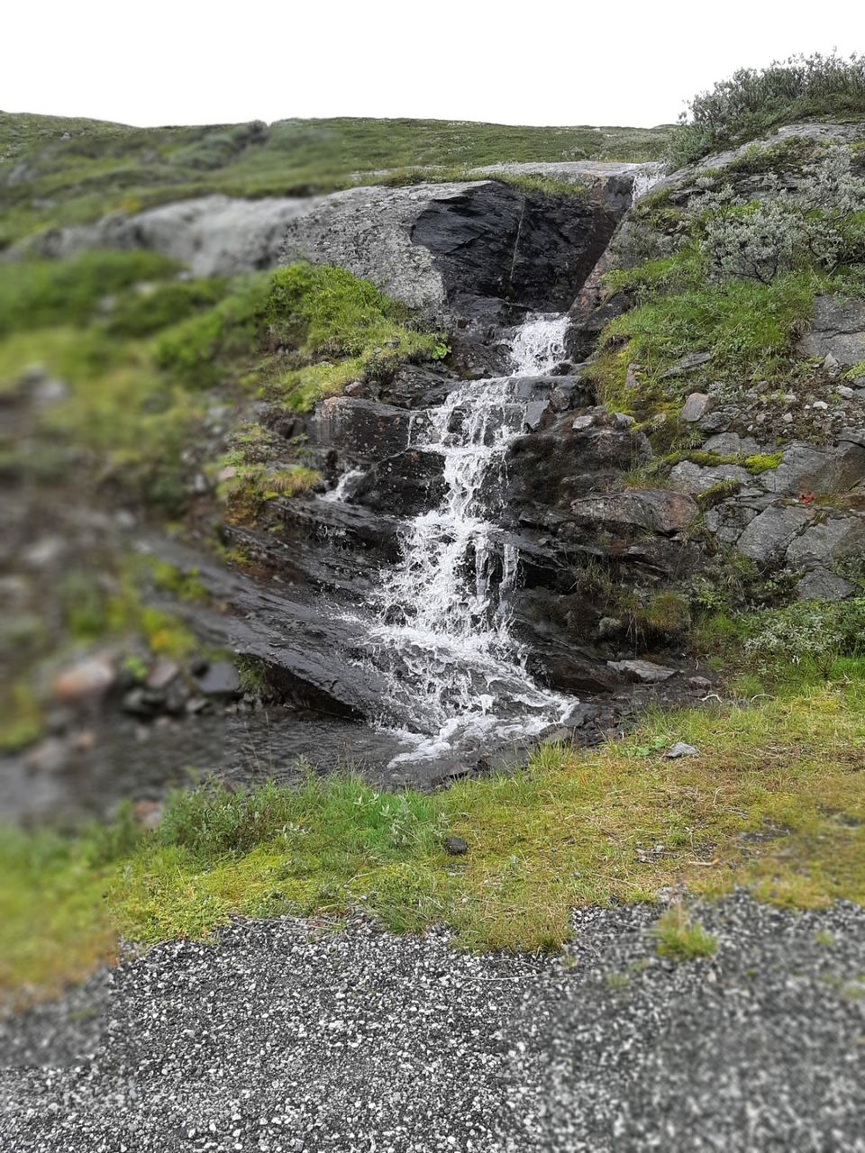Photo of Hovland, Norway by Sagar Kashyap