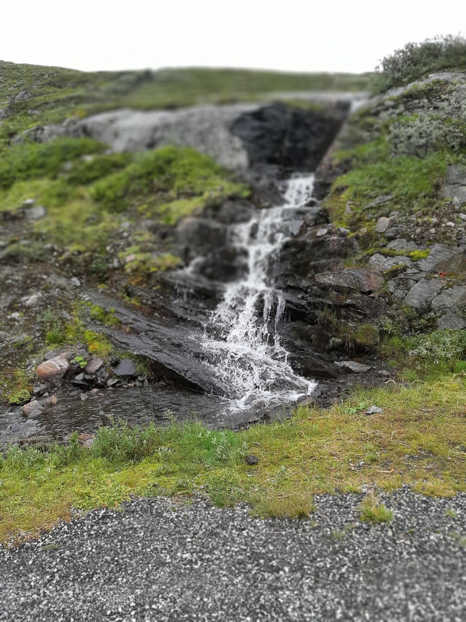 Photo of Hovland, Norway by Sagar Kashyap