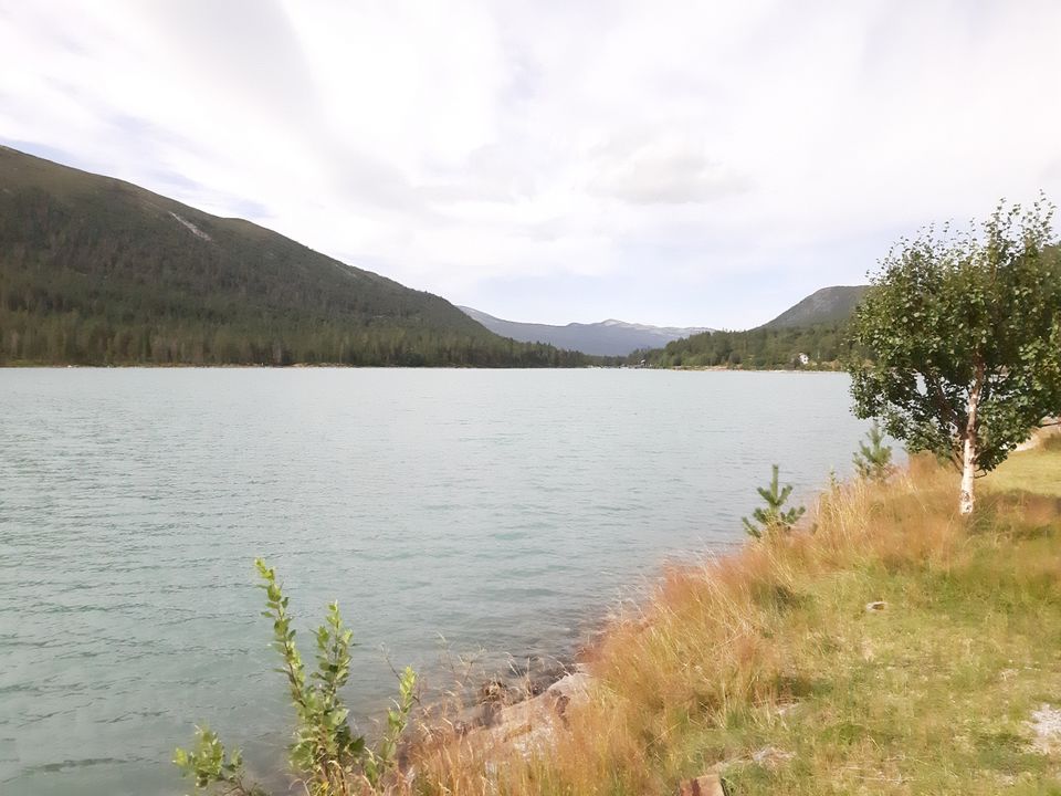 Photo of The Norwegian Roadtrip by Sagar Kashyap