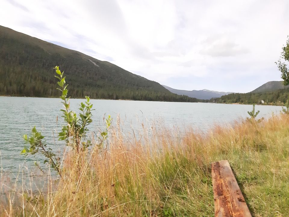 Photo of The Norwegian Roadtrip by Sagar Kashyap