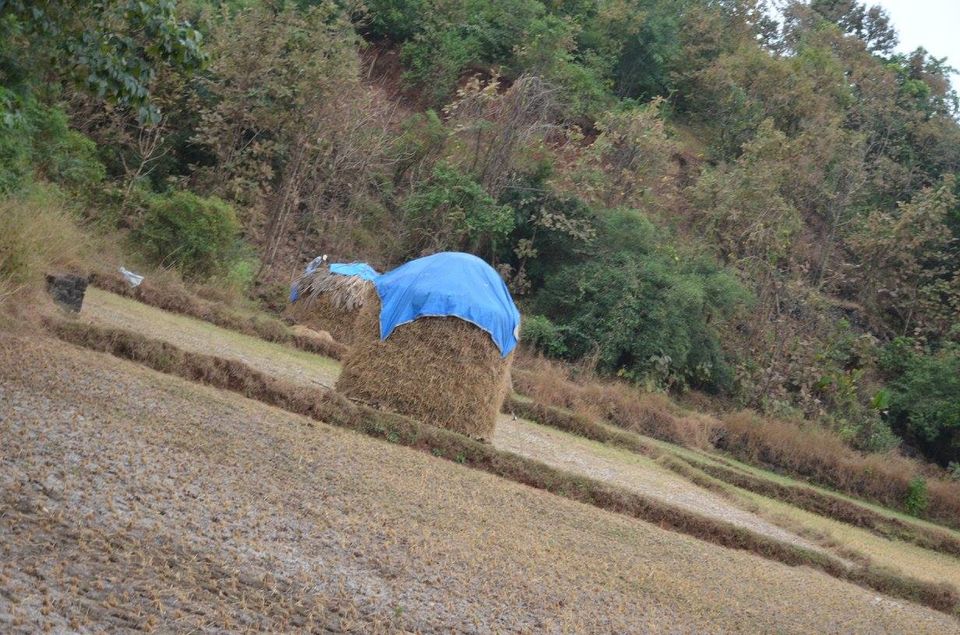 Photo of The Junket to Velas.... #BestofMaharashtra by Sagar Kashyap