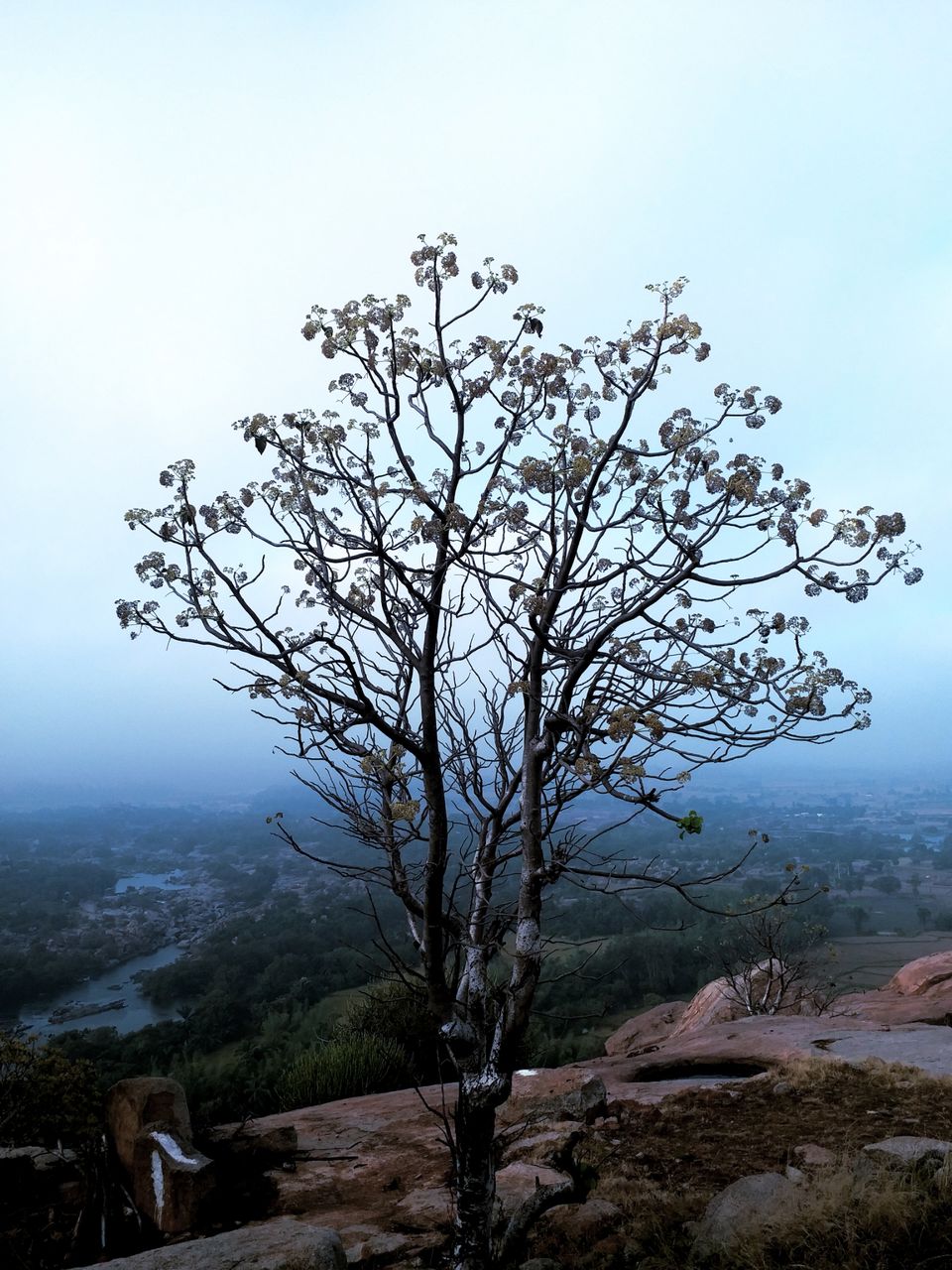 Photo of Ancient hampi by Sonal