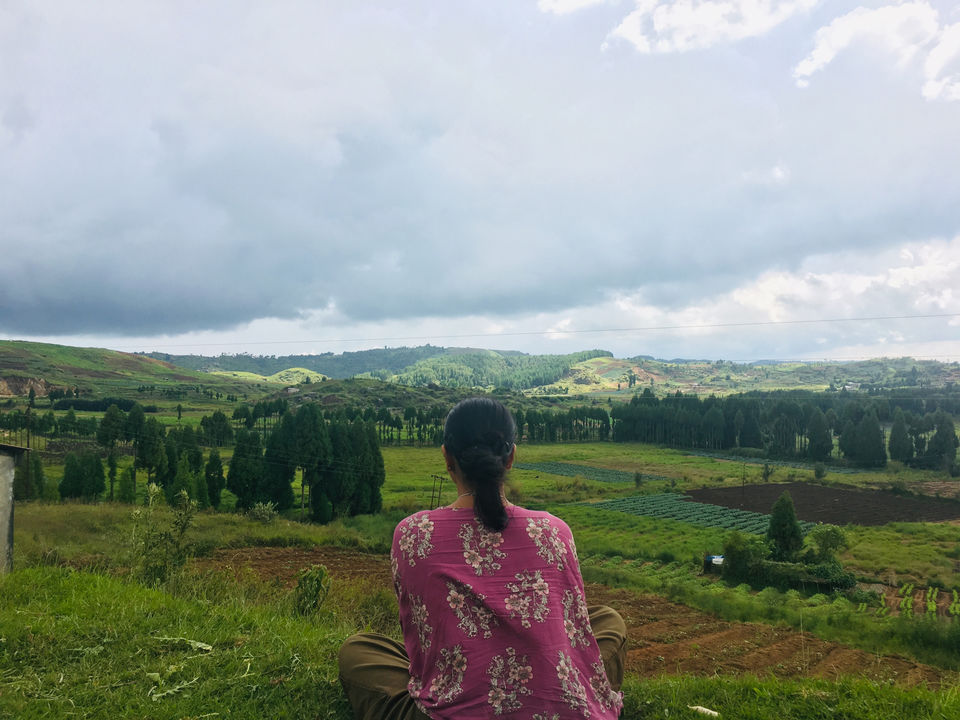 Photo of Mystic Meghalaya: A road trip between clouds by Meghna Jain
