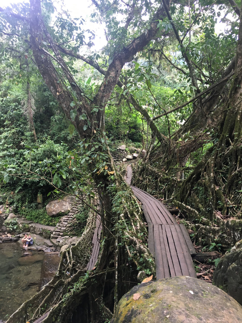 Photo of Mystic Meghalaya: A road trip between clouds by Meghna Jain