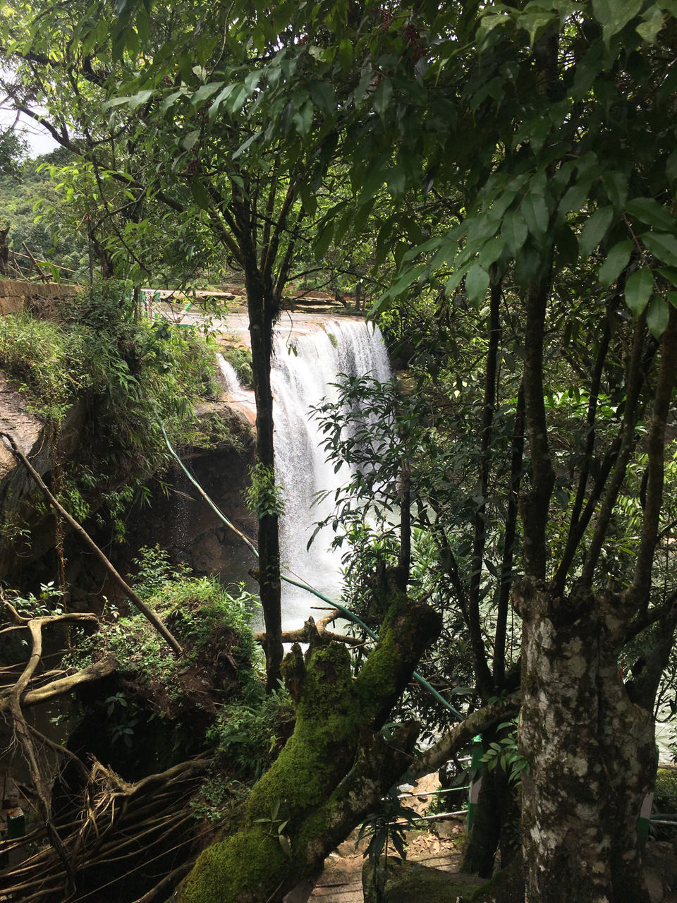Photo of Mystic Meghalaya: A road trip between clouds by Meghna Jain
