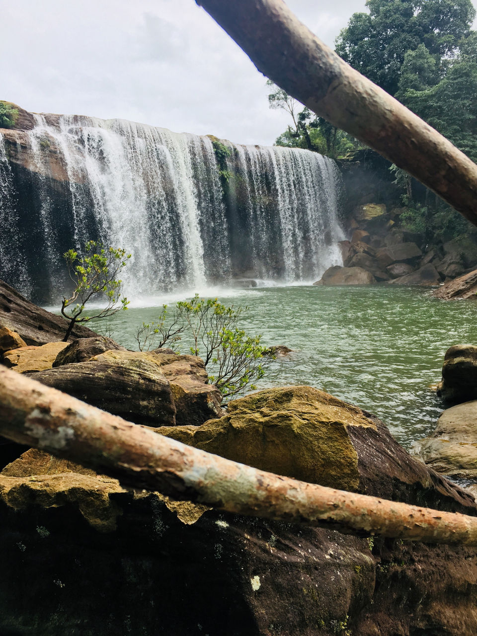 Photo of Mystic Meghalaya: A road trip between clouds by Meghna Jain