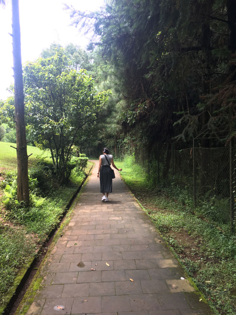 Photo of Mystic Meghalaya: A road trip between clouds by Meghna Jain