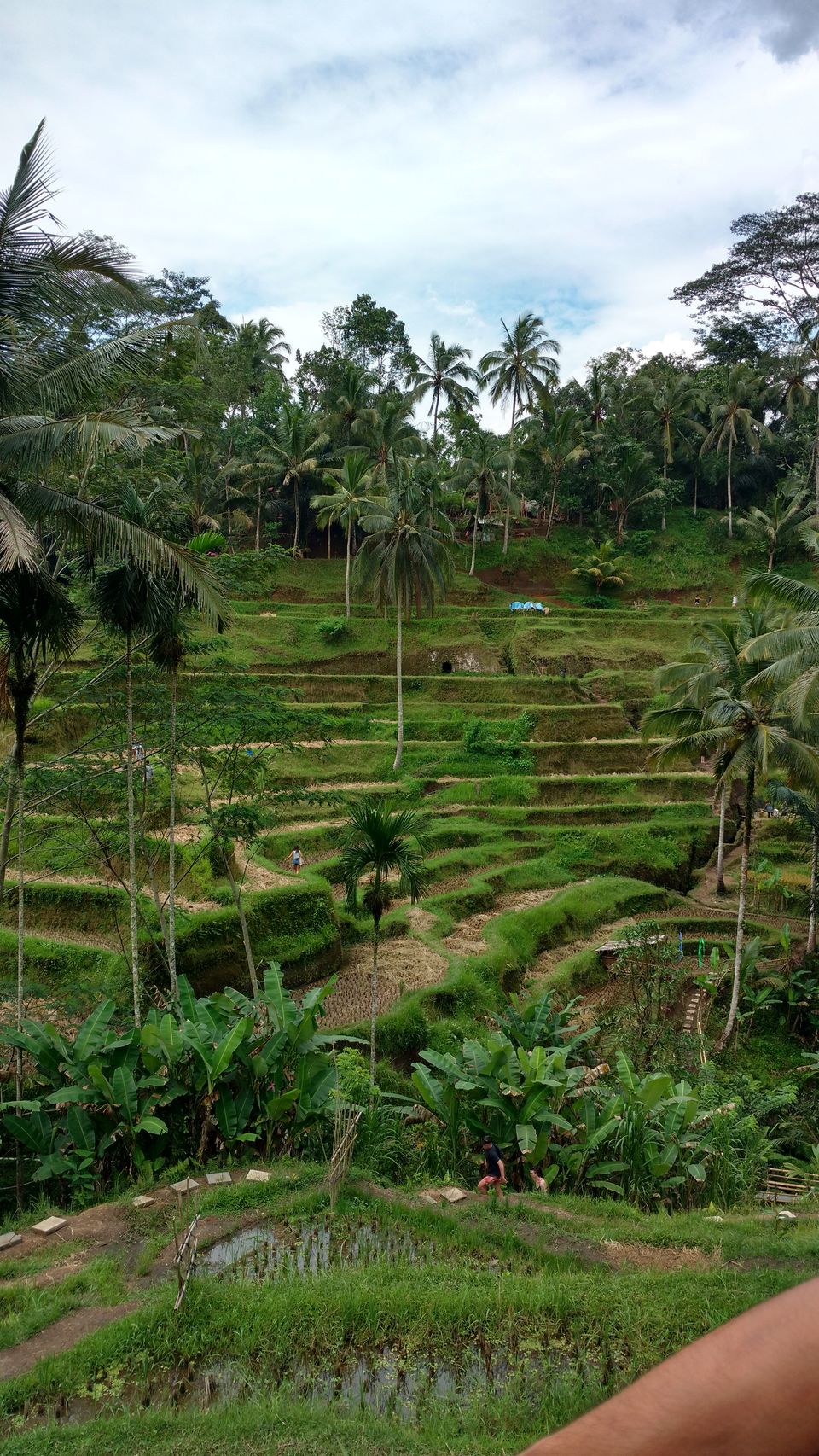Photo of Balinese Sojourn 1/3 by Niharika Adukia