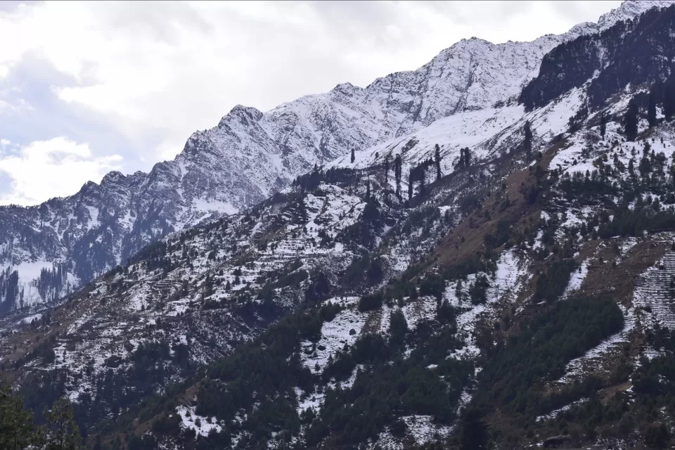Photo of Old Manali, Manali, Himachal Pradesh, India by BIDYUT DEKA