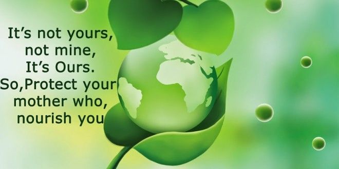 Photo of Follow these things while Traveling and Celebrate World Environment Day daily 1/8 by Anil Kumar