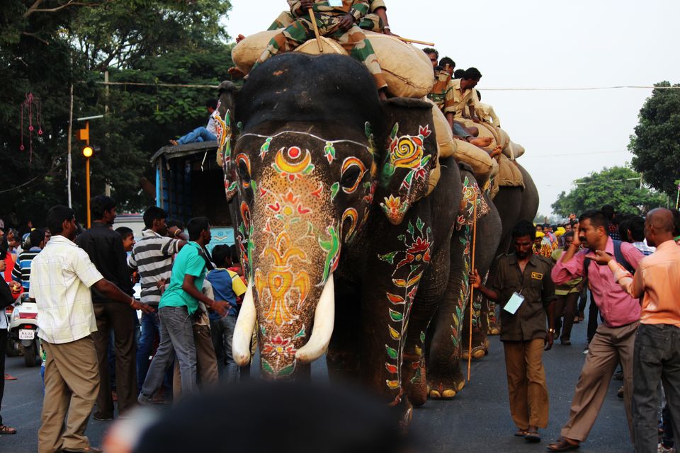 Photo of Dasara Jambusavari: - Extravaganza at its best 1/22 by Anil Kumar