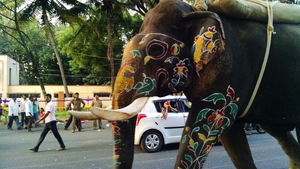 Photo of Dasara Jambusavari: - Extravaganza at its best 6/22 by Anil Kumar