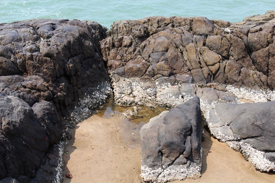 Photo of Weekend in a Coastal fort, a Spooky church, and a lot of Bike ride 4/19 by Anil Kumar