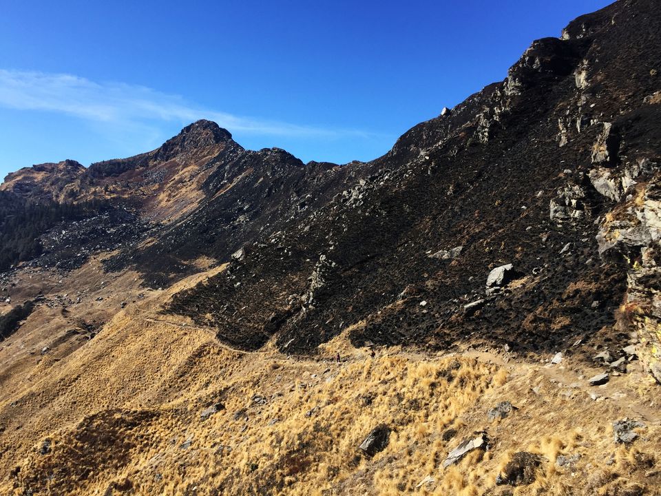 Photo of Winter Kuari Pass Trek: - An Amazing Experience of my Life 41/49 by Anil Kumar