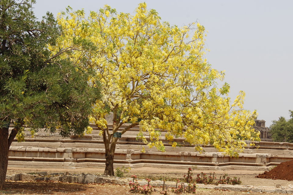Photo of An Architectural Marvel called Hampi 12/30 by Anil Kumar