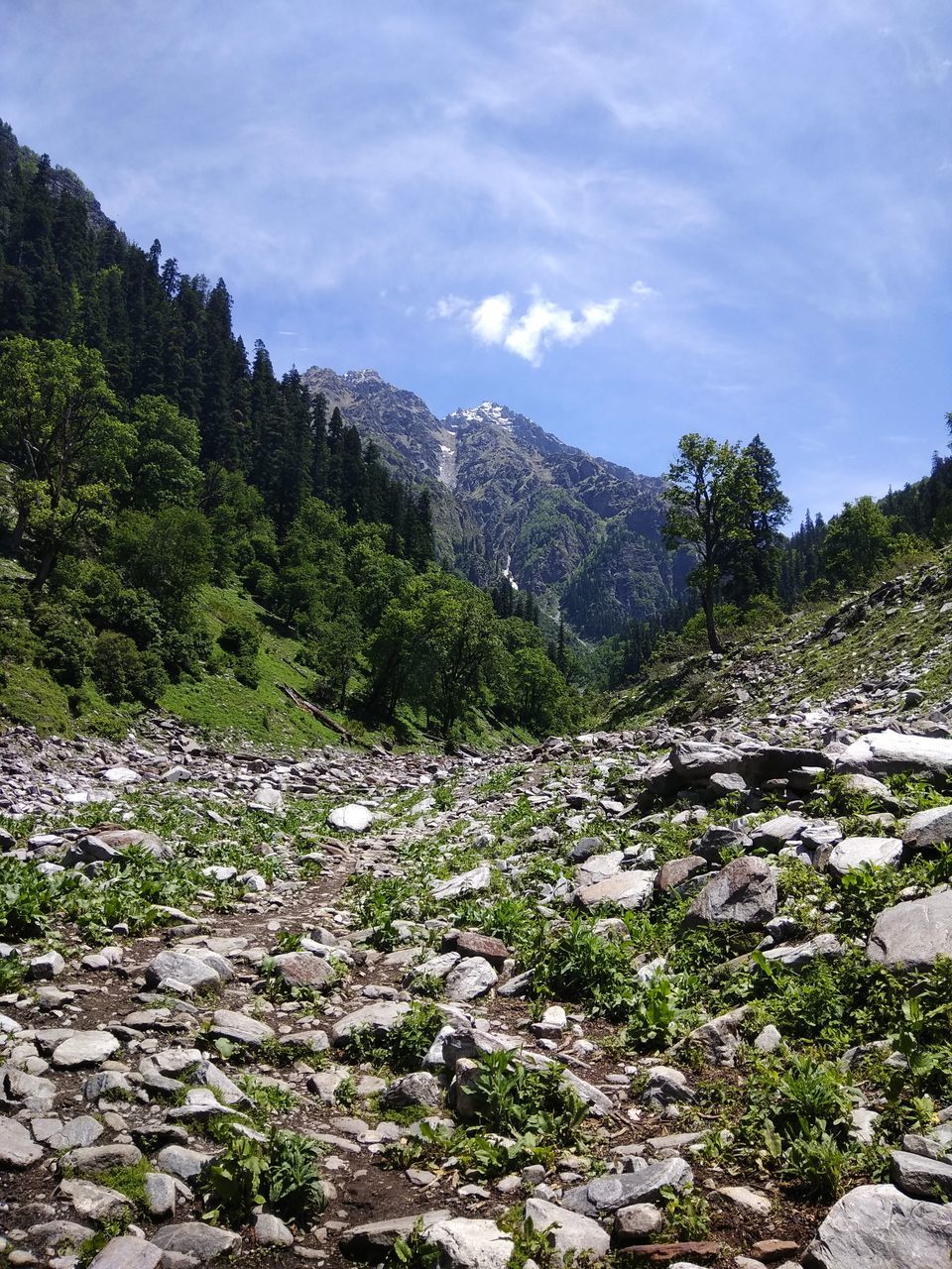 Photo of Rupin Pass Trek: An Awesome Cordillera to Trek 11/54 by Anil Kumar