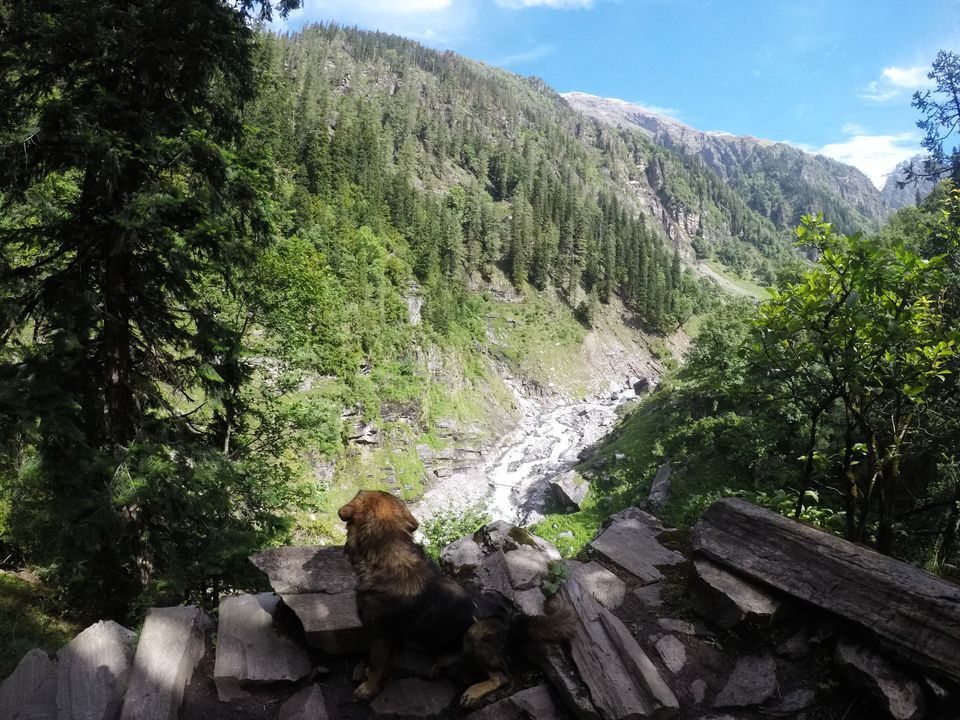 Photo of Rupin Pass Trek: An Awesome Cordillera to Trek 22/54 by Anil Kumar