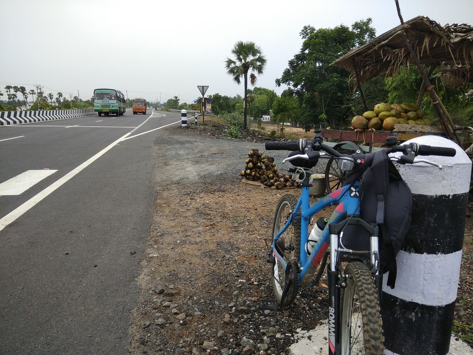 Photo of Solo Cycling on East Coast Road 5/19 by Anil Kumar