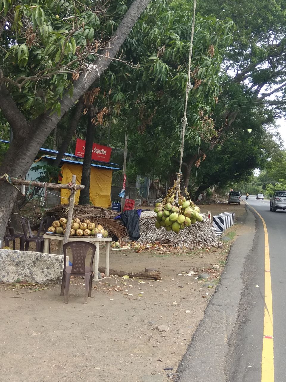 Photo of Solo Cycling on East Coast Road 10/19 by Anil Kumar