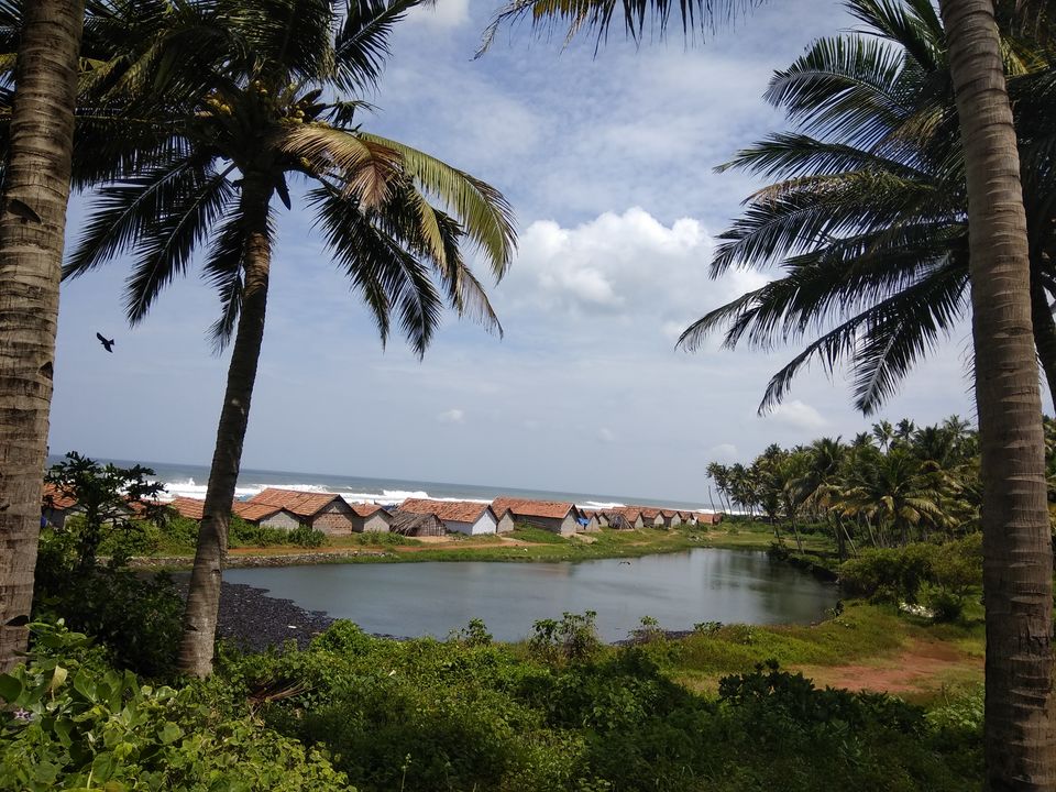 Photo of Wandering in Varkala 16/31 by Anil Kumar
