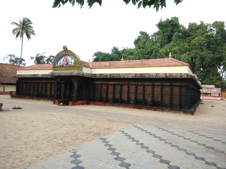 Photo of Wandering in Varkala 25/31 by Anil Kumar