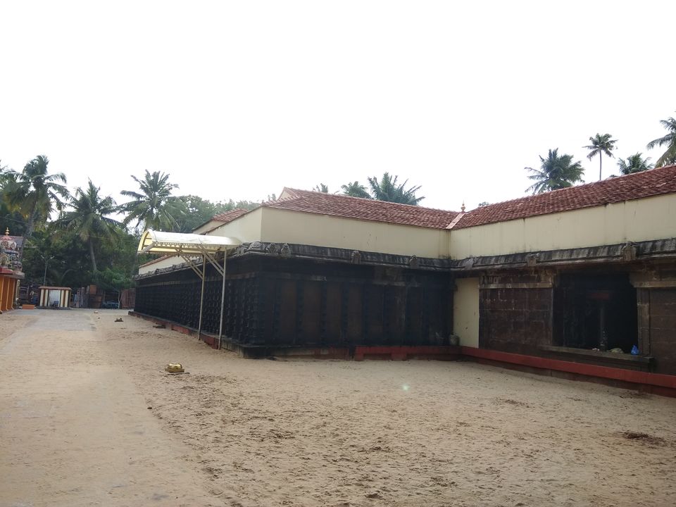 Photo of Wandering in Varkala 26/31 by Anil Kumar