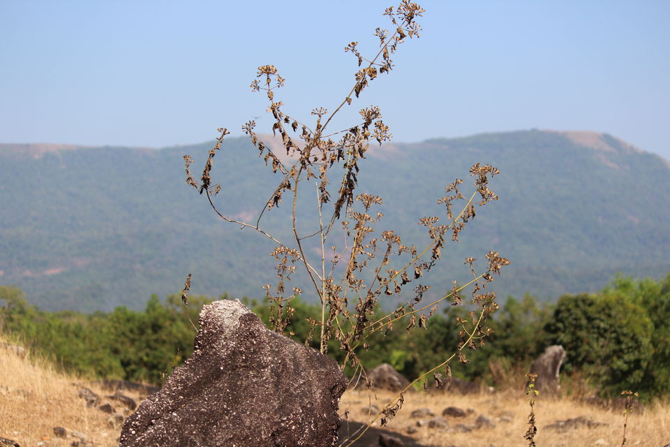Photo of A weekend visit to a coastal Karnataka by Anil Kumar