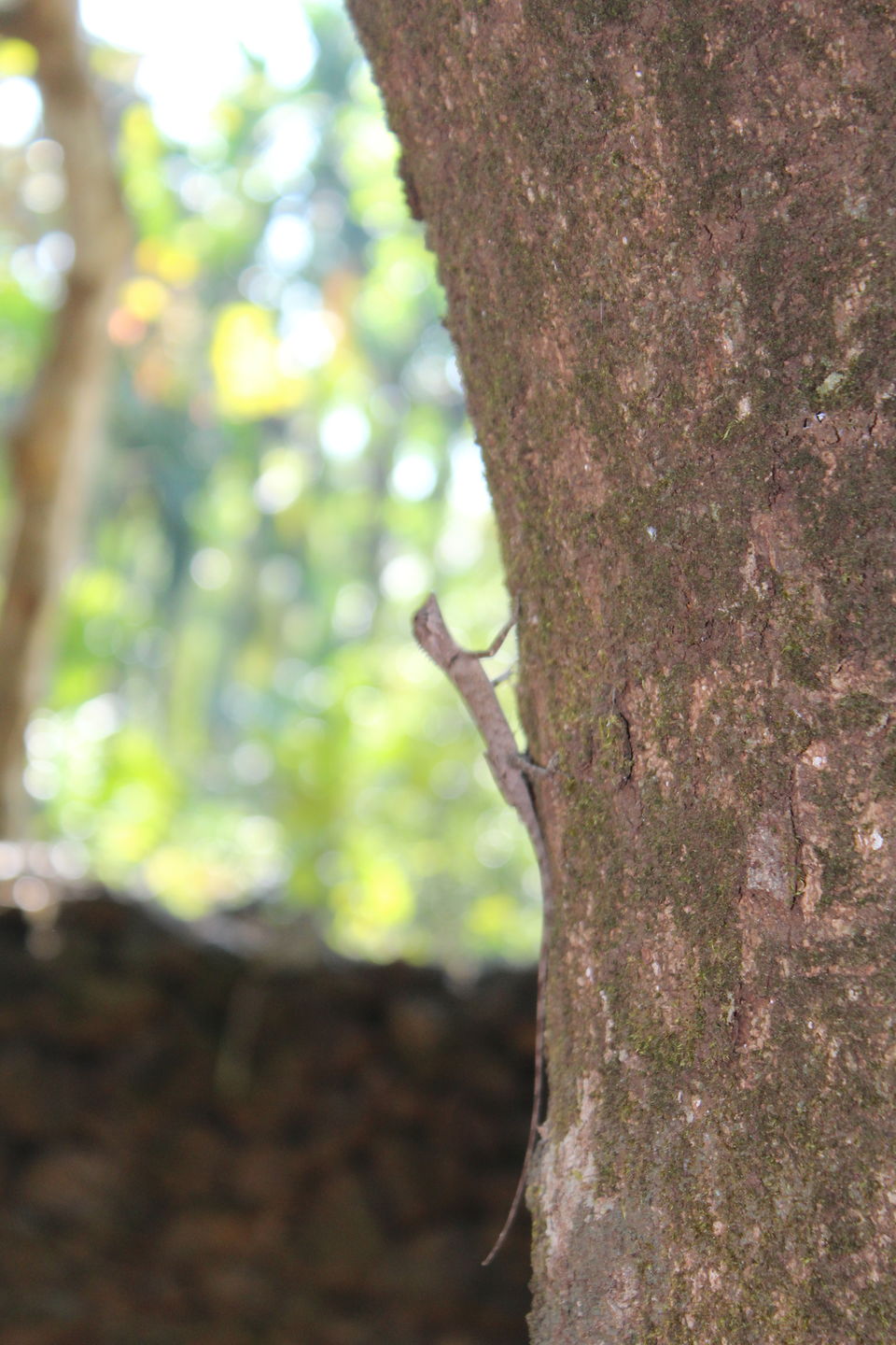 Photo of A weekend visit to a coastal Karnataka by Anil Kumar