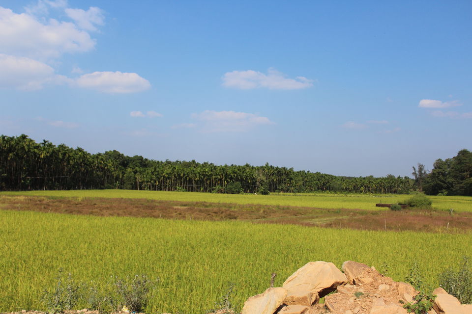 Photo of HighPoint Home stay: - The home in Thirthahalli where architecture and nature stays in harmony... 29/49 by Anil Kumar
