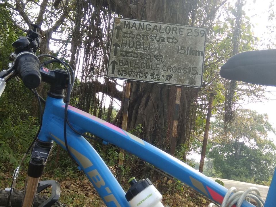 Photo of Solo Cycling on the West Coast Road: Karwar to Kundapura 4/33 by Anil Kumar