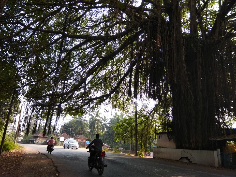 Photo of Solo Cycling on the West Coast Road: Karwar to Kundapura 8/33 by Anil Kumar