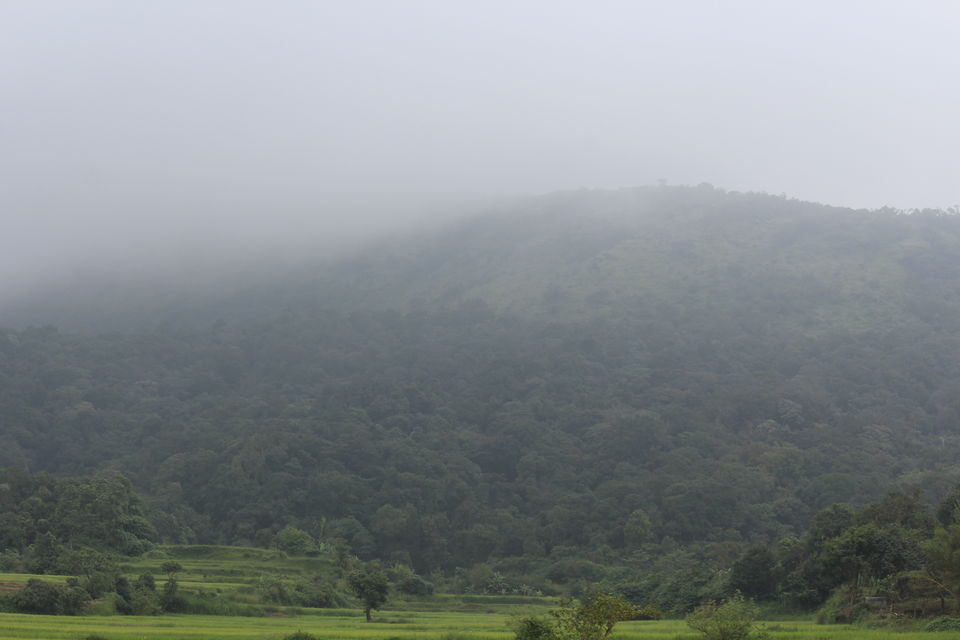 Photo of Sakleshpur :- The land with lush greenery 1/39 by Anil Kumar