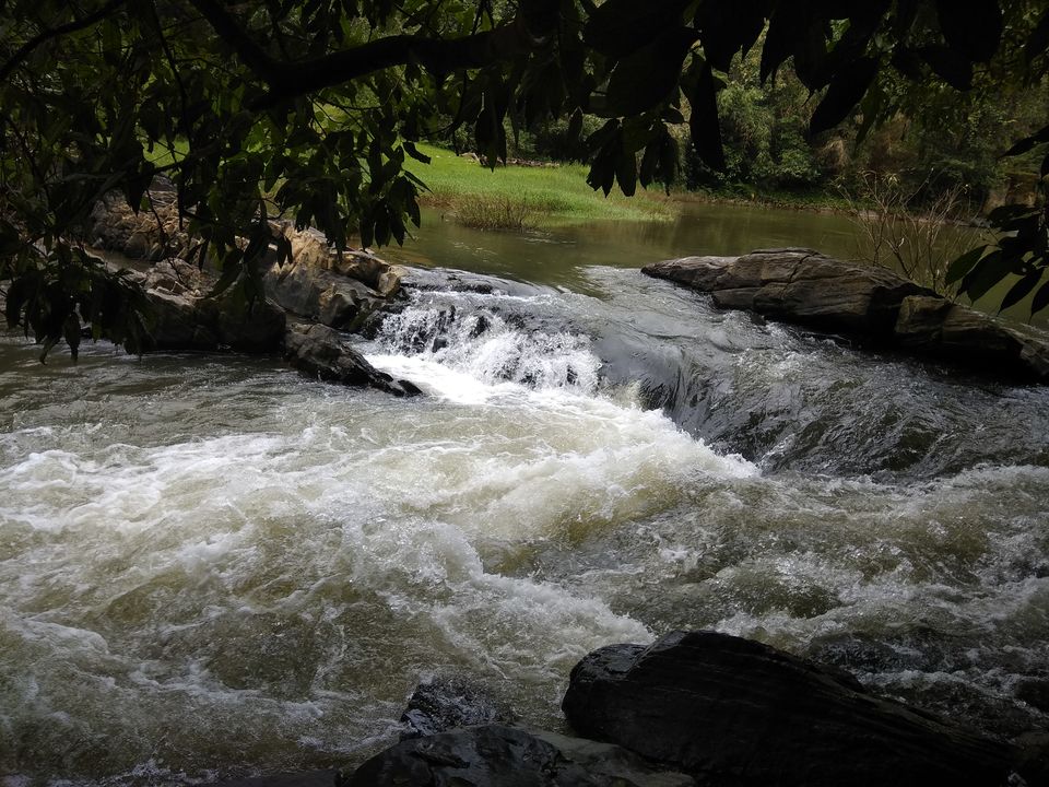 Photo of Sakleshpur :- The land with lush greenery 6/39 by Anil Kumar
