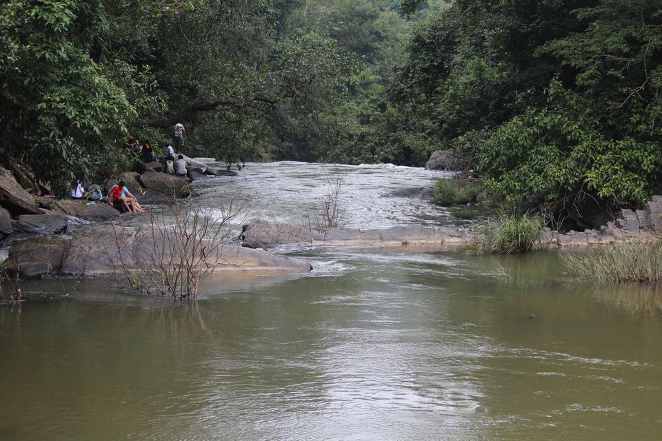 Photo of Sakleshpur :- The land with lush greenery 7/39 by Anil Kumar