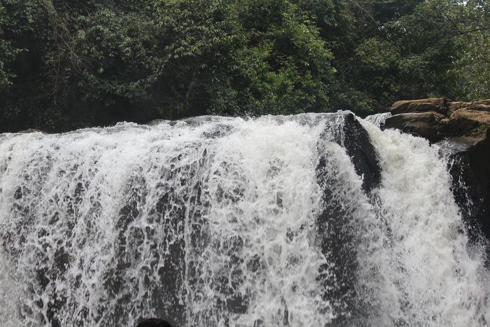 Photo of Sakleshpur :- The land with lush greenery 10/39 by Anil Kumar