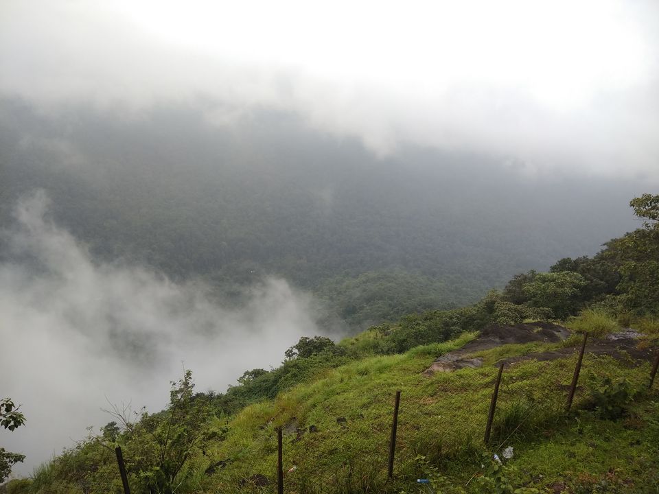 Photo of Sakleshpur :- The land with lush greenery 12/39 by Anil Kumar