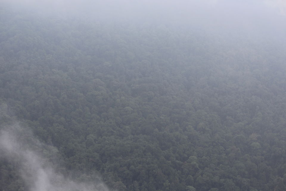 Photo of Sakleshpur :- The land with lush greenery 13/39 by Anil Kumar
